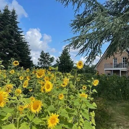 Kiek-ut-og-mit-studio-nr-3 Holiday home *