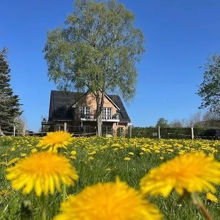 Kiek-ut-og-mit-studio-nr-3 * Haby