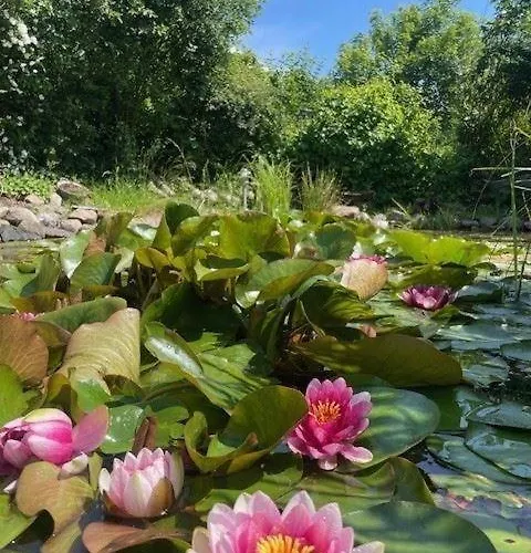 Kiek-ut-og-mit-studio-nr-3 度假居