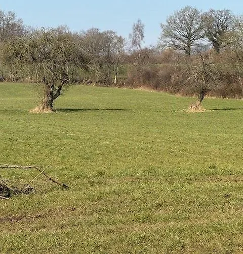 Kiek-ut-og-mit-studio-nr-3